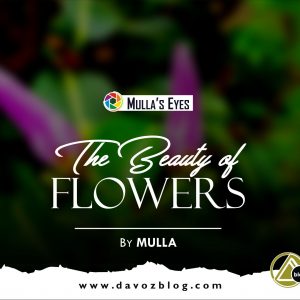 THE BEAUTY OF FLOWERS (Taken By Mulla)