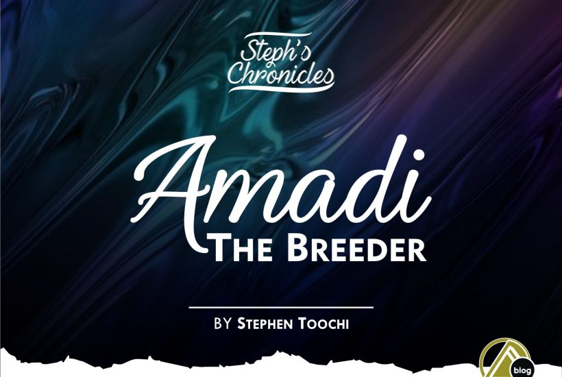 AMADI THE BREEDER (By Stephen Toochi)